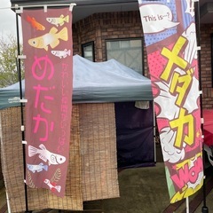 めだか販売所