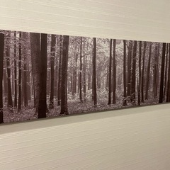決まりました！900
の画像