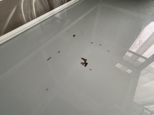 取引中！パンテオンホワイト　9045 爬虫類飼育ケージ