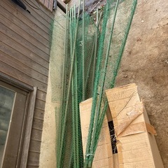 鑑賞用菊の鉢、その他の画像