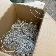 鑑賞用菊の鉢、その他の画像