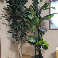 フェイクグリーン2本
