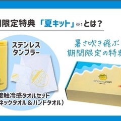 チョコザップ 水筒 冷感タオル 冷感ハンドタオルの画像