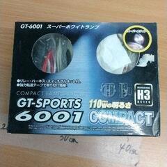 0922-079 スーパーホワイトランプ GT SPORTS 6001