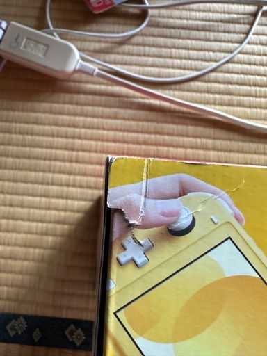 任天堂Switchライト