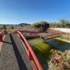 ★★ 敷地463坪の池やサウナがある贅沢なお家★★ − 千葉県