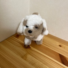 犬の電動おもちゃ