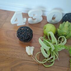 インテリア飾りの画像