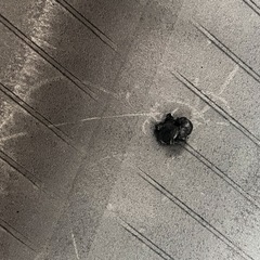 195/80R15 スタッドレスタイヤ4本の画像