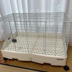 【募集停止】ウサギ飼育セット