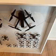 IKEA イケア アートピース（ドローンの標本）の画像