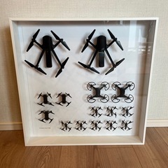IKEA イケア アートピース（ドローンの標本）の画像