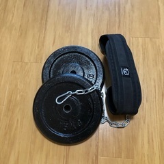 懸垂、ディップスベルト、30Kg重り筋トレセット