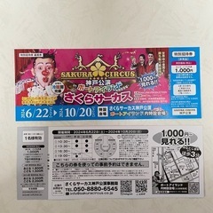 5枚セット　さくらサーカス特別招待（優待•割引）券 ⑤の画像