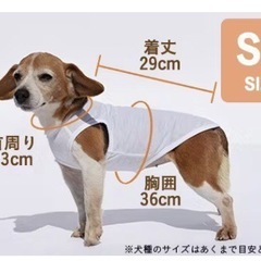 犬服　サイズ
SDの画像