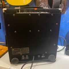 【名機】ビンテージ　ポリトーンpolytone MINI-BRUTE IIの画像