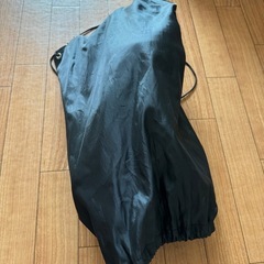 ショートスキーの画像