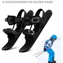 ショートスキーの画像