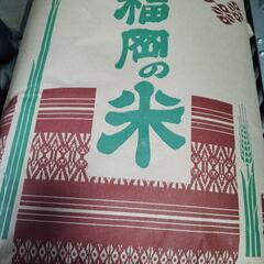 新米　元気づくし　１５キロ　玄米
