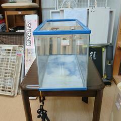 水槽☆60㎝サイズ・青縁、キズ等多い、淡水魚、熱帯魚、観賞用、水漏れなし【浜村鹿野温泉ICから3分 買取本舗 宮本リサイクル 営業時間9～19時 定休日水曜のみ←連絡できませんm(_ _)m】の画像