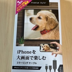 I Phoneを大画面で楽しむ　
ミラーリングケーブル