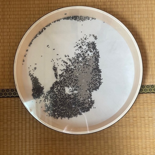 音楽療法オーシャンドラム定価1万7千円