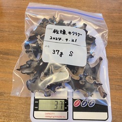 ③【出来たて】乾燥キクラゲ 菌床栽培 37g　小サイズ入り