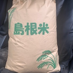 令和6年  新米 島根県産こしひかり 玄米  30kg