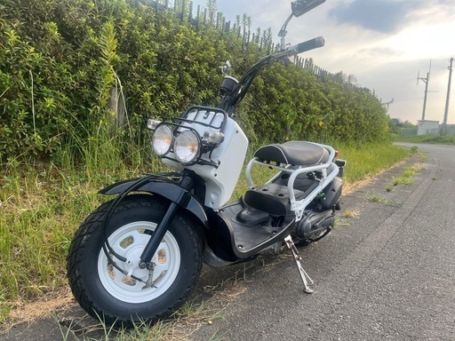 ホンダ　　　ズーマ