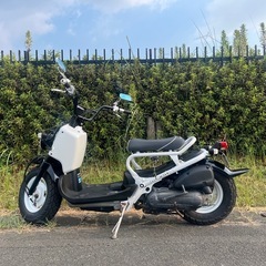 ホンダ　　　ズーマの画像