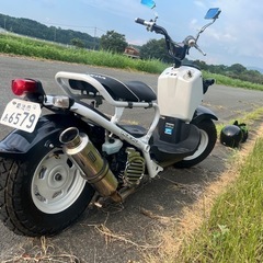 ホンダ　　　ズーマの画像