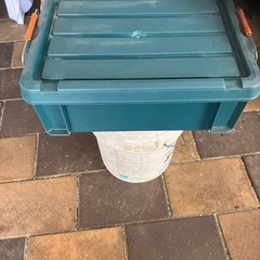 バックルコンテナの画像