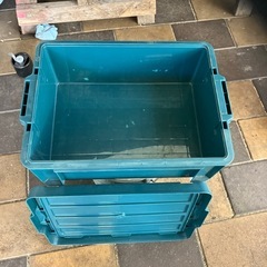 バックルコンテナの画像