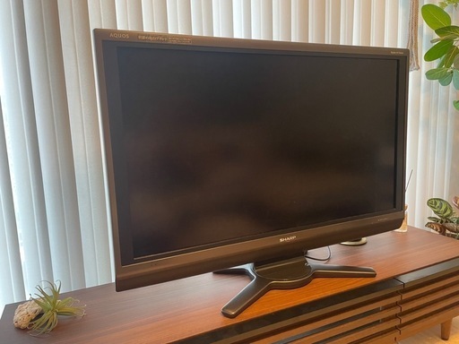 テレビ