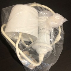 電球の画像