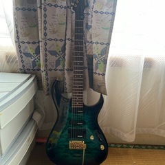 フェルナンデスギター
