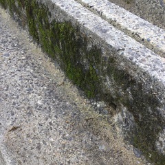 U字溝　あげます　の画像