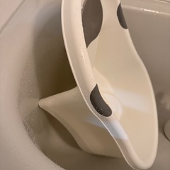 もらう方いませんかの画像