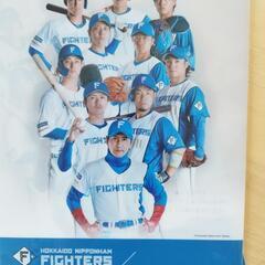 日本ハムファイターズファイルの画像