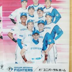 日本ハムファイターズファイルの画像