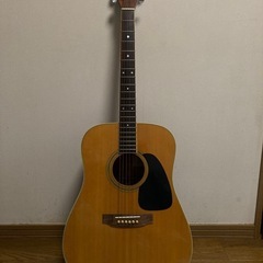 Takamine TD-25