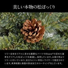 Alsace(R)公式 正規品 クリスマスツリー 120cm 豊富な枝数 樅 高級 ドイツトウヒ ツリー オーナメント なし アルザス ツリー Alsace おしゃれ ヌードツリー 北欧風 まるで本物 スリム 組み立て5分 散らからない の画像
