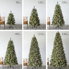 Alsace(R)公式 正規品 クリスマスツリー 120cm 豊富な枝数 樅 高級 ドイツトウヒ ツリー オーナメント なし アルザス ツリー Alsace おしゃれ ヌードツリー 北欧風 まるで本物 スリム 組み立て5分 散らからない の画像