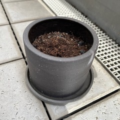 植木鉢チャコールグレー