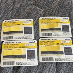 【セール】
ANA 株主優待