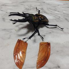 貰ってください、ガチャガチャフィギュアの画像
