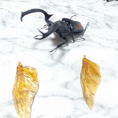 リアル昆虫ガチャ可動部多数　おまけ付きです、