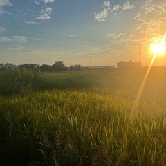 厚木に住んでて友達募集してます。