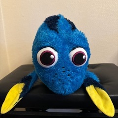 ドリー 