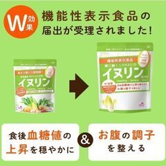LOHASTYLE イヌリン 500ｇ 機能性表示食品 消費期限 2026年10月 在庫6の画像